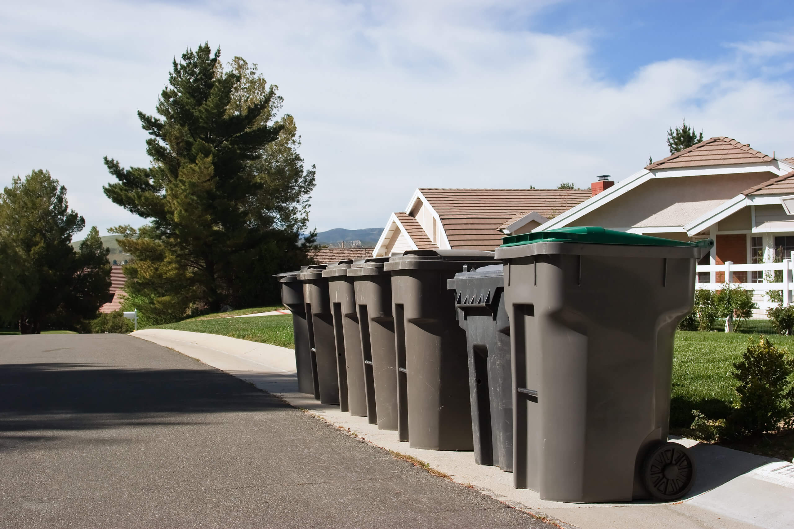 residential collection